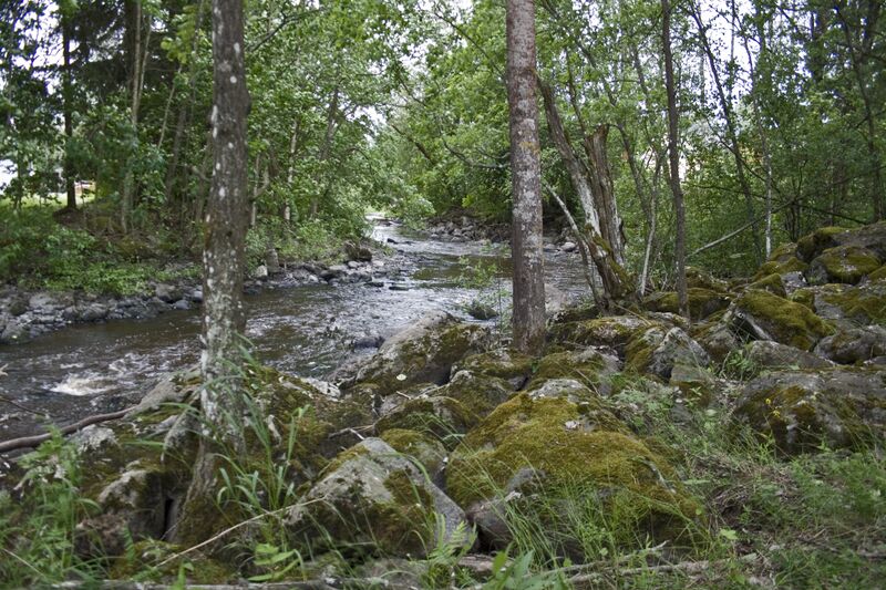 ملف:Sammunjoki Nanhiankoski 01.jpg