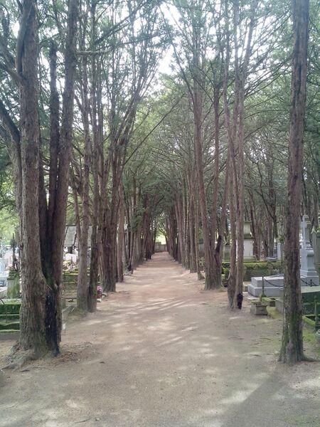 ملف:Cimetière d'Amboise.jpeg