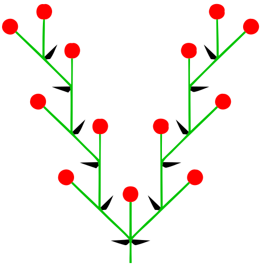 ملف:Doppelwickel (inflorescence).svg