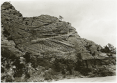 Cross-bedding of sandstone near Mount Carmel road, Zion Canyon, indicating wind action and sand dune formation prior to formation of rock (NPS photo by George A. Grant, 1929)