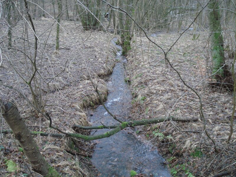 ملف:Obermüllerbach1.JPG