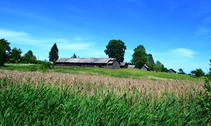 ملف:Pavarpiai, 2.JPG