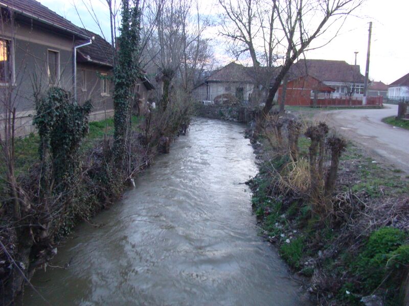 ملف:RiscaHD (5).JPG