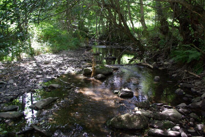 ملف:Silvan 01 by-dpc.jpg