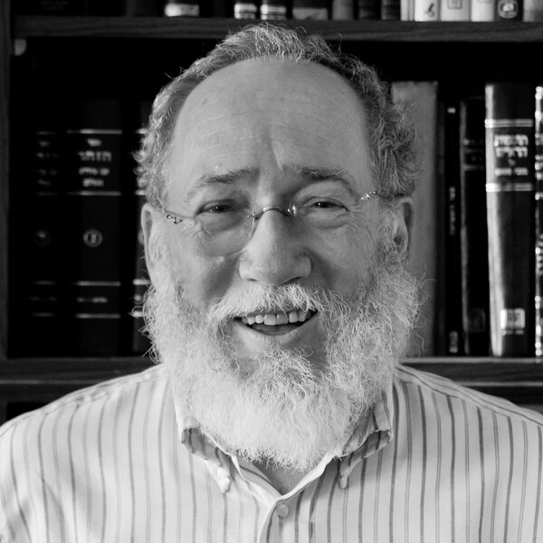 ملف:Daniel Landes.JPG