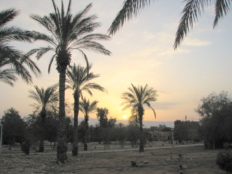 ملف:Fatzael Valley 052.JPG