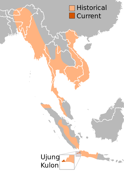 ملف:Javan Rhino Range.svg