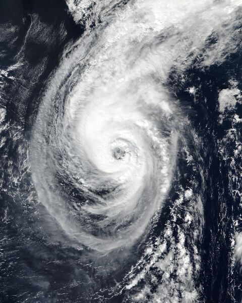 ملف:Malou 2021-10-28 0345Z.jpg