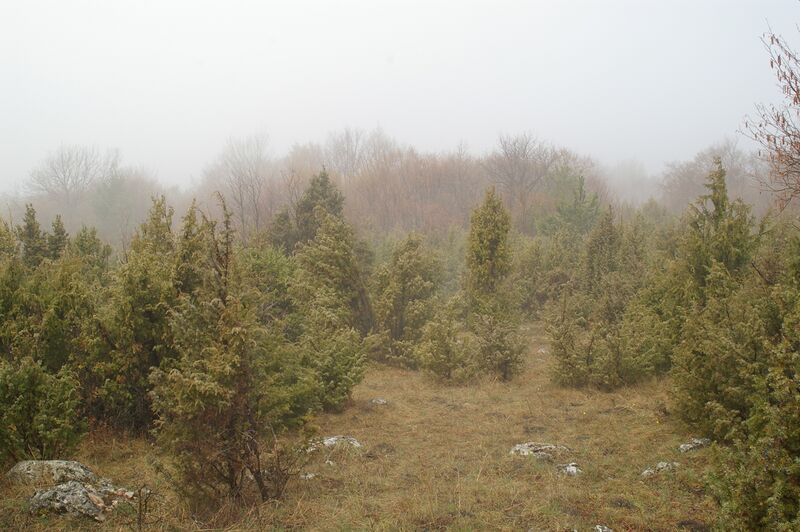 ملف:Jasovska planina.jpg