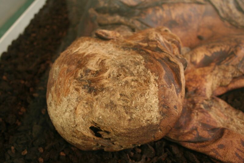 ملف:Lindow Man 03.JPG
