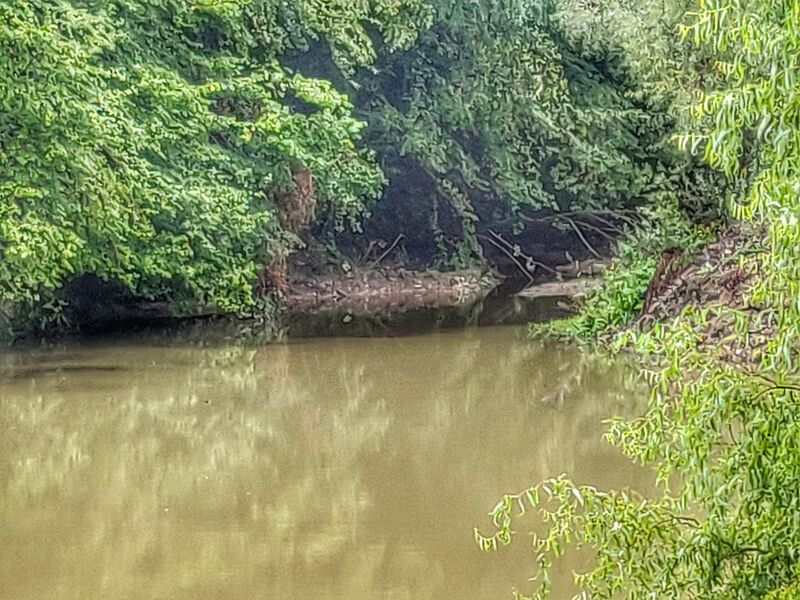 ملف:Râul Măieruș.jpg