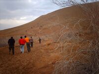 Tourists in desert of Maranjab Aran va Bidgol