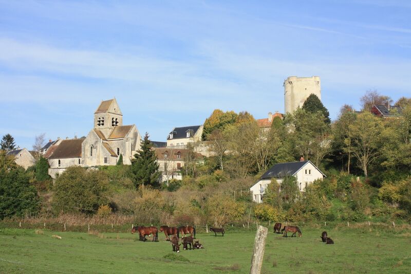 ملف:Village de Droizy.JPG
