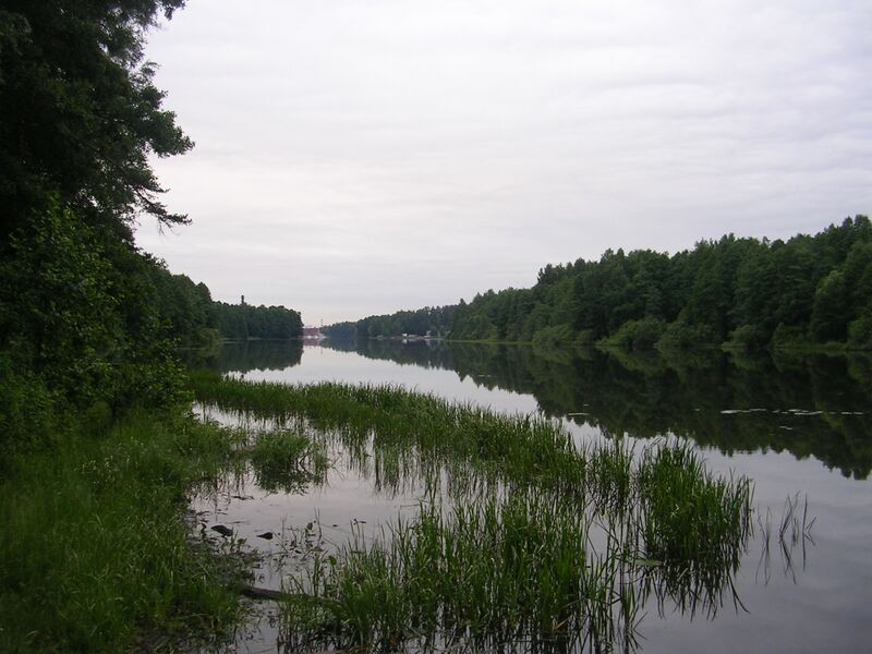 ملف:Chernogolovsky pond.jpg