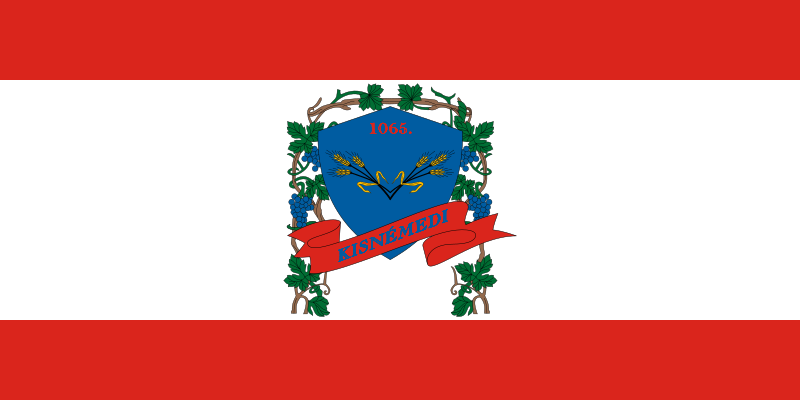 ملف:Flag of Kisnémedi.svg