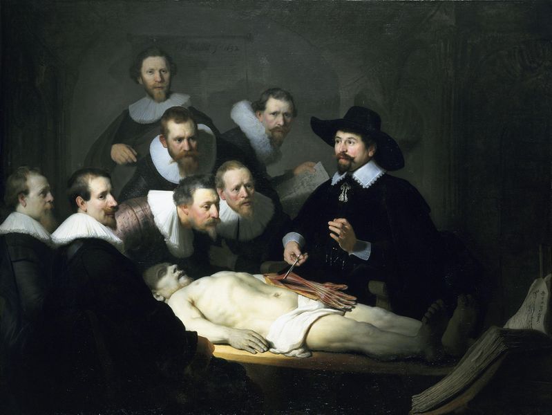 ملف:The Anatomy Lesson.jpg