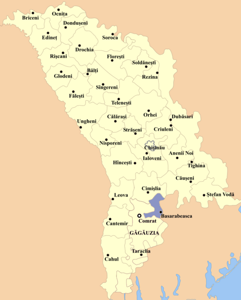 ملف:Basarabeasca county.png