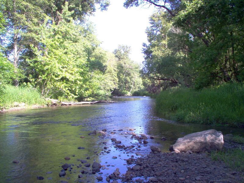 ملف:Bear Creek (Oregon) 1.jpg
