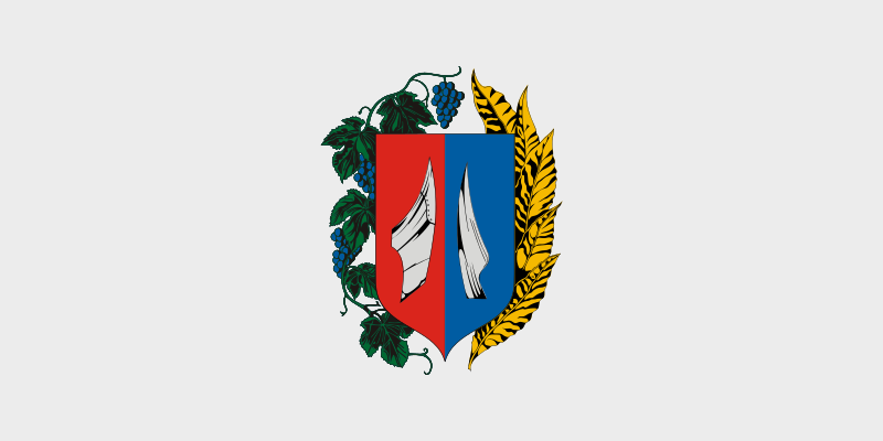 ملف:Flag of Verpelét.svg