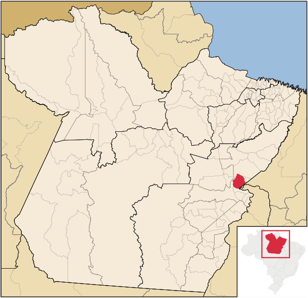 ملف:Para Municip BomJesusdoTocantins.svg