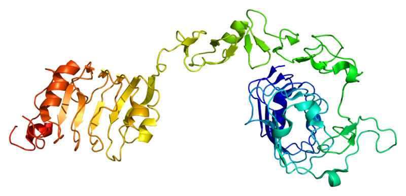 ملف:Protein IGF1R PDB 1igr.png