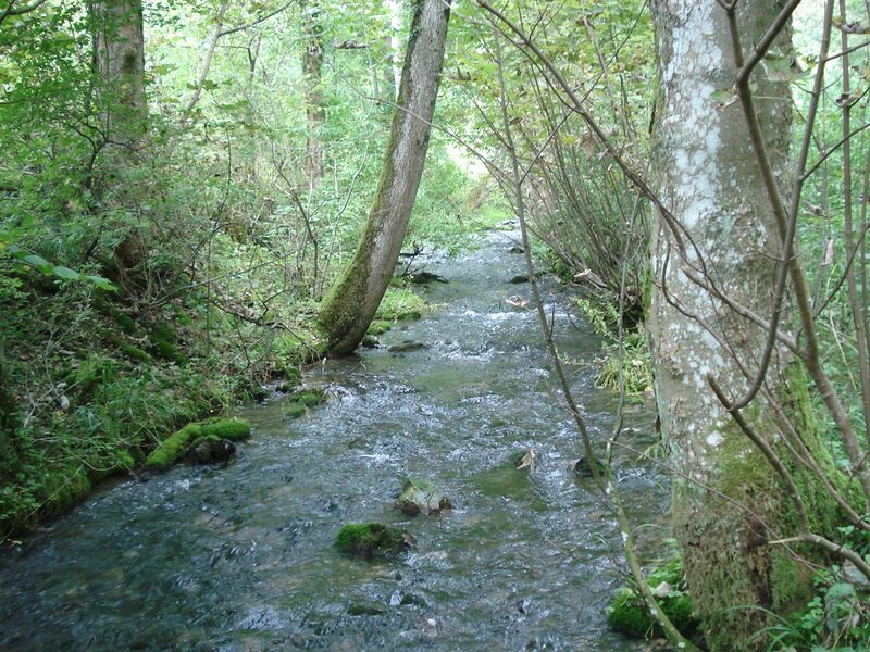 ملف:Weiße Lauter.JPG