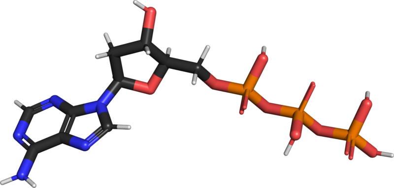 ملف:2'-deoxyadenosine triphosphate.png