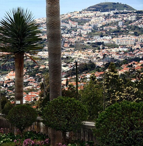 ملف:Funchal, Monte IMG 1965.JPG