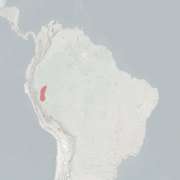 خريطة النطاق