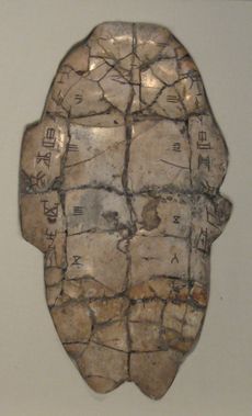 A turtle shell inscribed with primitive Chinese characters