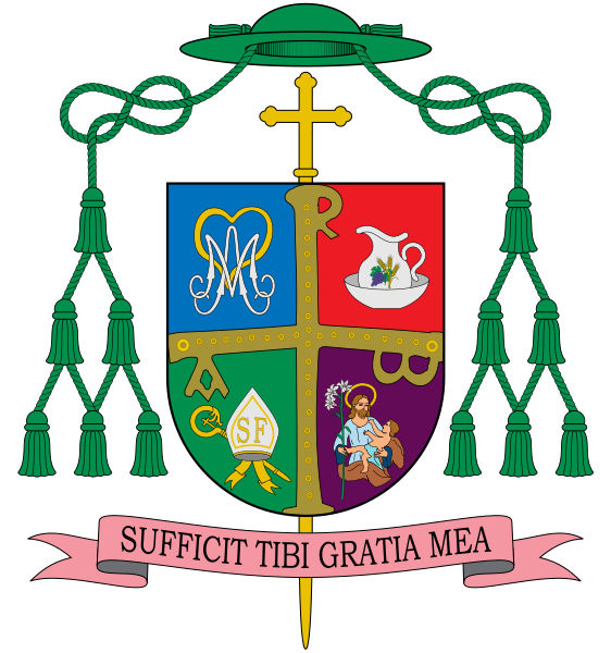 ملف:Escudo de Sebastián Chico.svg