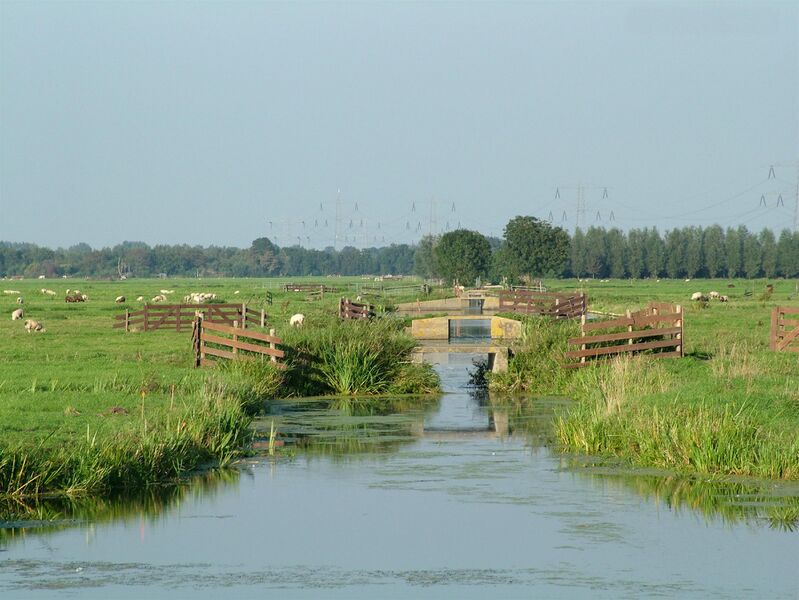 ملف:Polderlandschap 't Beijersche.jpg