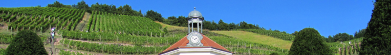ملف:Radebeul pagebanner1.png