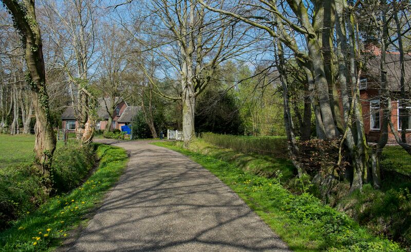 ملف:Schelfhorst (1).jpg