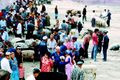 في شينج يانج 10 ملايين رأس من الغنم، والصورة من أحد أسواق الغنم.
