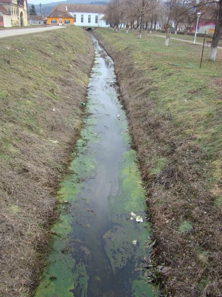 ملف:BaznaSB (5).JPG