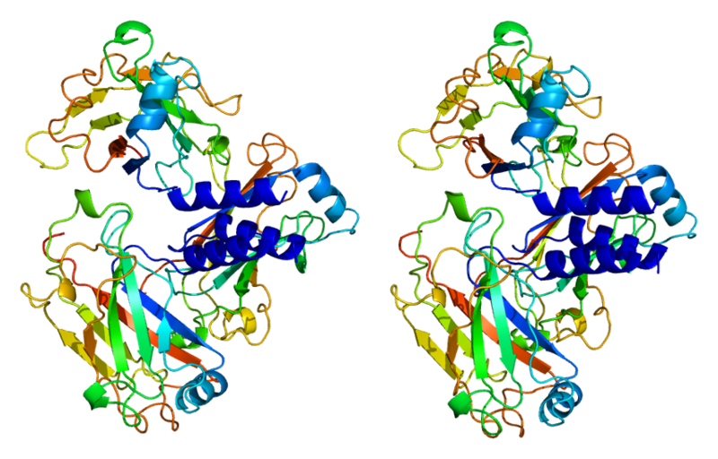 ملف:Protein TRAF2 PDB 1ca4.png
