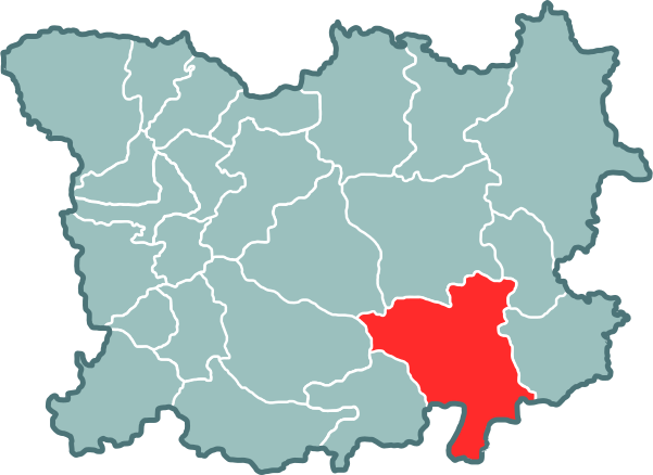 ملف:Rečycki paviet. Рэчыцкі павет.svg