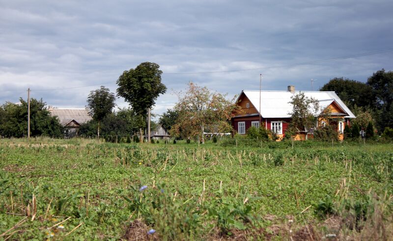 ملف:Szawry (Nowosady).jpg