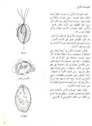 الصفحة التالية &larr;