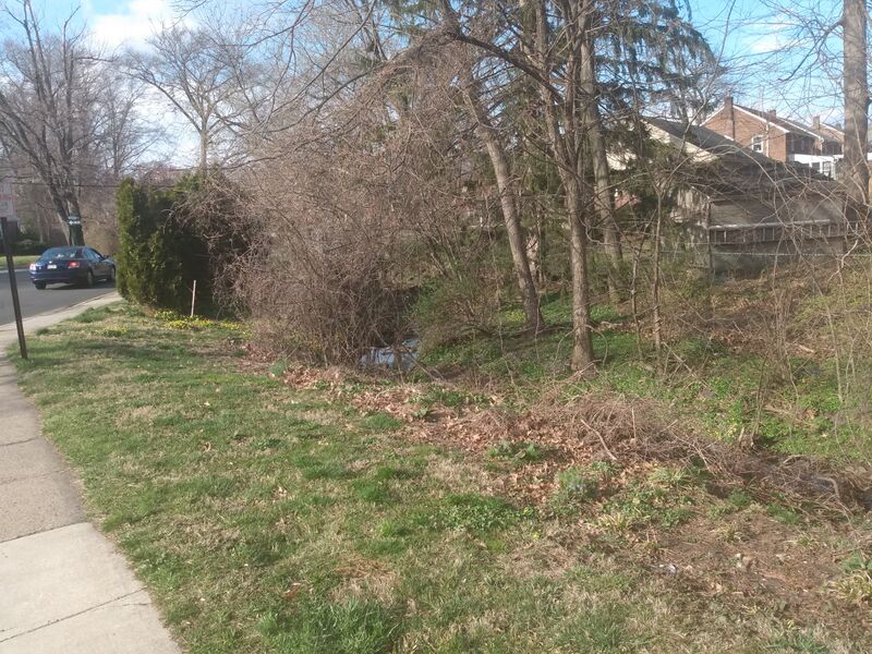 ملف:Naylors Run.jpg