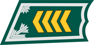 ملف:Ylikersantti kauluslaatta.svg