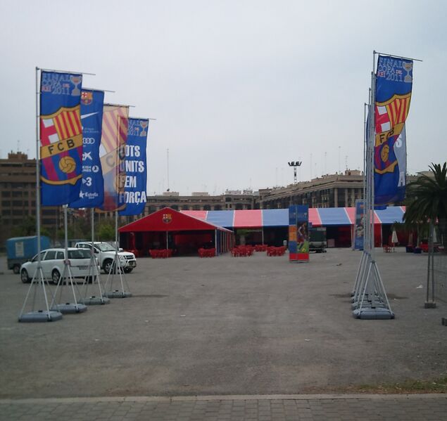 ملف:Detall carpa.JPG