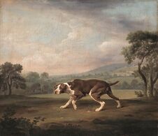 The Pointer (ca. 1766), oil on canvas, 61 x 70 cm., Neue Pinakothek