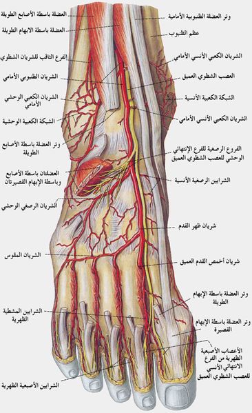ملف:Part6.jpg