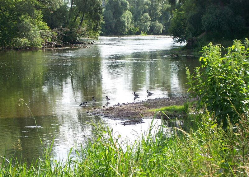 ملف:Sim River.jpg