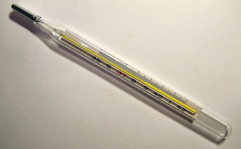 ملف:Clinical thermometer 38.7.JPG