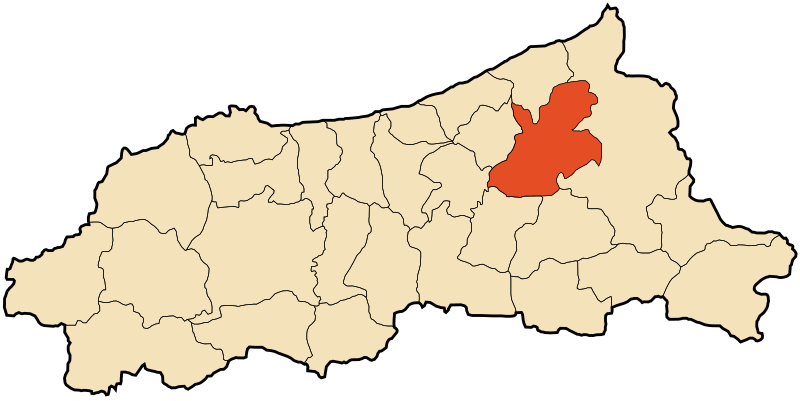 ملف:DZ 18 El Ancer.svg