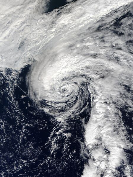 ملف:Rina 2017-11-08 1350Z.jpg