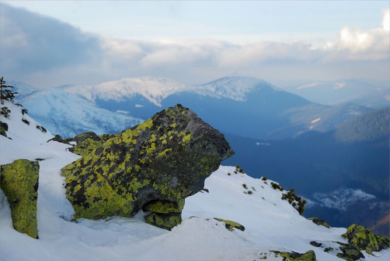 ملف:Ґрофа 4.jpg